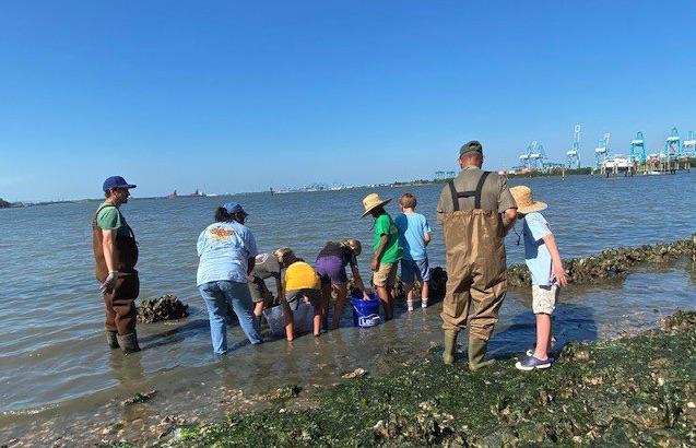 Students from the Williams School of Norfolk release the oysters they raised at the Oyster Ball Reef that runs along the shoreline of the Hermitage Museum & Gardens. Photo courtesy of Hermitage Museum & Gardens. 