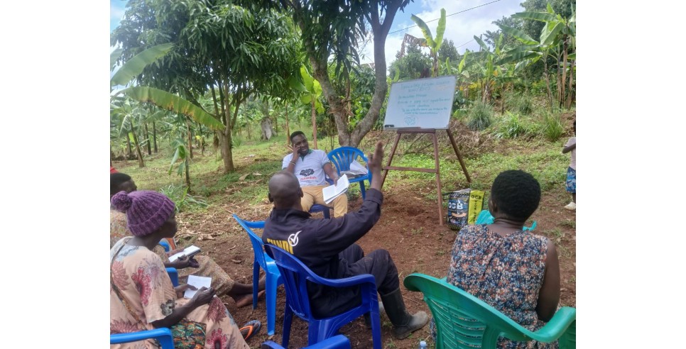 Photo Credit: Ngombor Community Development Alliance