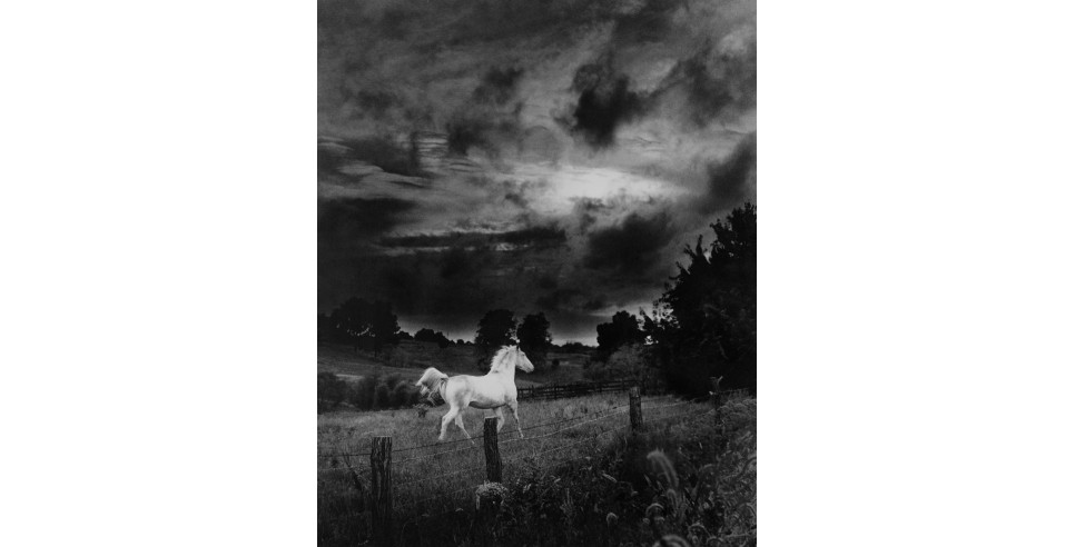 "Stormy" is reproduced with permission of the Estate of Bill Eppridge. All rights reserved. Courtesy Monroe Gallery of Photography.